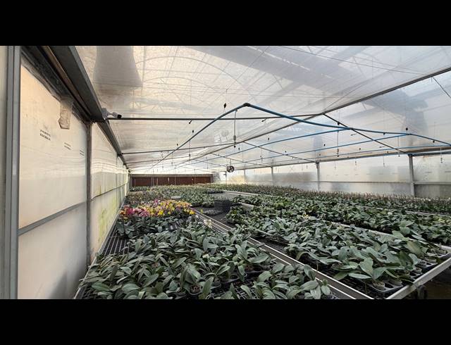 40,471M² SMALLHOLDING FOR SALE IN BENONI AH